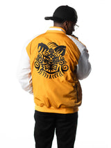 Wind Breaker Anime